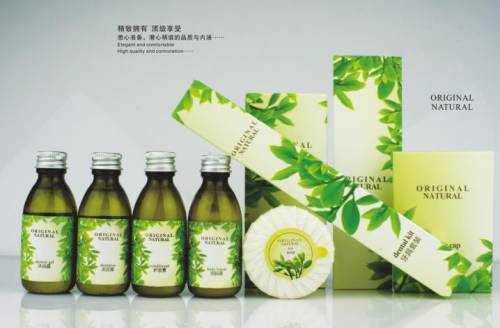 ���а��bSD010